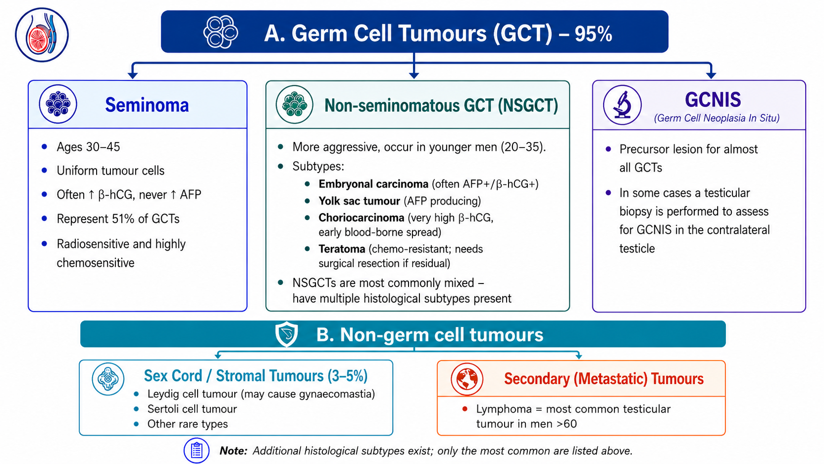 Classification of testicular tumours
